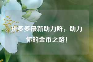 拼多多最新助力群，助力你的金币之路！  第1张