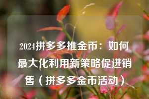 2024拼多多推金币：如何最大化利用新策略促进销售（拼多多金币活动）  第1张