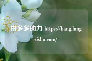 拼多多助力 https://bang.langzishu.com/  第1张