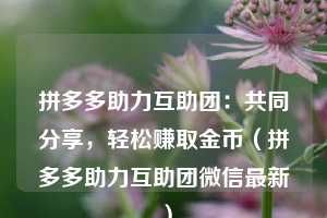 拼多多助力互助团：共同分享，轻松赚取金币（拼多多助力互助团微信最新）  第1张