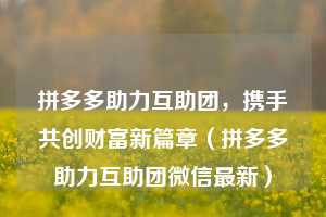 拼多多助力互助团，携手共创财富新篇章（拼多多助力互助团微信最新）  第1张