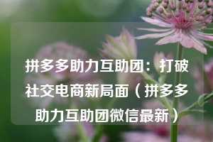 拼多多助力互助团：打破社交电商新局面（拼多多助力互助团微信最新）  第1张