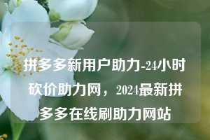 拼多多新用户助力-24小时砍价助力网，2024最新拼多多在线刷助力网站  第1张