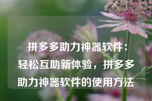  拼多多助力神器软件：轻松互助新体验，拼多多助力神器软件的使用方法 第1张