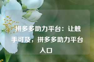  拼多多助力平台：让触手可及，拼多多助力平台入口 第1张