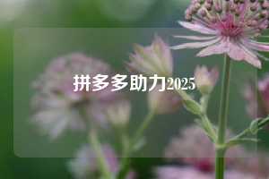 拼多多助力2025  拼多多助力24小时平台网站 拼多多助力 拼多多助力平台网站 拼多多刷助力平台网站 拼多多助力平台网站在线刷 拼多多助力平台 第1张