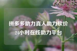 拼多多助力真人助力砍价24小时在线助力平台  拼多多助力 拼多多助力平台网站 拼多多刷助力平台网站 拼多多助力平台网站在线刷 拼多多助力平台 第1张