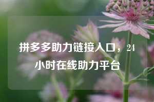 拼多多助力链接入口，24小时在线助力平台  拼多多助力链接入口 拼多多助力 拼多多助力平台网站 拼多多刷助力平台网站 拼多多助力平台网站在线刷 拼多多助力平台 第1张