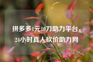 拼多多1元10刀助力平台，24小时真人砍价助力网  拼多多1元10刀助力平台 拼多多助力 拼多多助力平台网站 拼多多刷助力平台网站 拼多多助力平台网站在线刷 拼多多助力平台 第1张