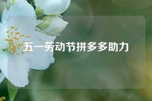 五一劳动节拼多多助力  第1张