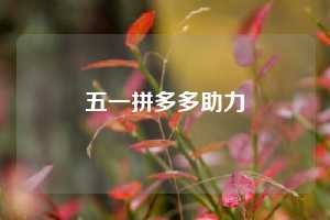 五一拼多多助力  第1张