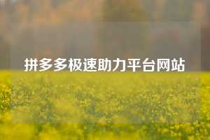 拼多多极速助力平台网站  第1张