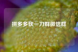 拼多多砍一刀群微信群  第1张