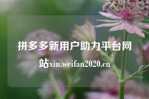 拼多多新用户助力平台网站xin.weifan2020.cn  第1张