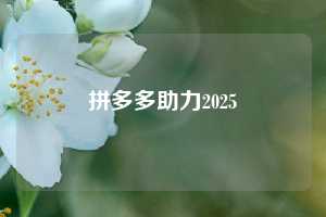 拼多多助力2025  拼多多助力 拼多多助力平台网站 拼多多刷助力平台网站 拼多多助力平台网站在线刷 拼多多助力平台 第1张