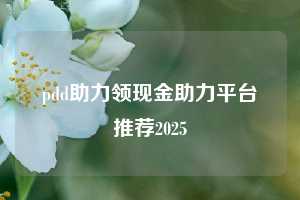 pdd助力领现金助力平台推荐2025  拼多多助力 拼多多助力平台网站 拼多多刷助力平台网站 拼多多助力平台网站在线刷 拼多多助力平台 第1张