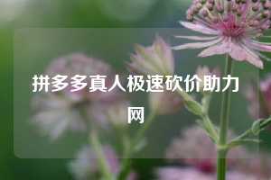 拼多多真人极速砍价助力网  拼多多助力 拼多多助力平台网站 拼多多刷助力平台网站 拼多多助力平台网站在线刷 拼多多助力平台 第1张