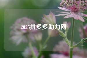 2025拼多多助力网  拼多多助力 拼多多助力平台网站 拼多多刷助力平台网站 拼多多助力平台网站在线刷 拼多多助力平台 第1张
