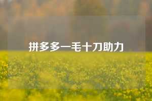 拼多多一毛十刀助力  拼多多助力 拼多多助力平台网站 拼多多刷助力平台网站 拼多多助力平台网站在线刷 拼多多助力平台 第1张