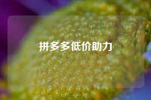 拼多多低价助力  拼多多助力 拼多多助力平台网站 拼多多刷助力平台网站 拼多多助力平台网站在线刷 拼多多助力平台 第1张