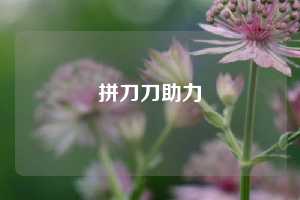 拼刀刀助力  拼多多助力 拼多多助力平台网站 拼多多刷助力平台网站 拼多多助力平台网站在线刷 拼多多助力平台 第1张