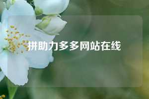 拼助力多多网站在线  拼多多助力 拼多多助力网站 拼多多刷助力网站 拼多多助力网站在线刷 拼多多助力平台 第1张