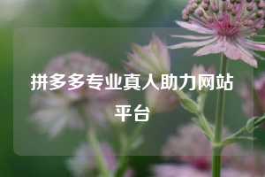 拼多多专业真人助力网站平台  拼多多助力 拼多多助力网站 拼多多刷助力网站 拼多多助力网站在线刷 拼多多助力平台 第1张