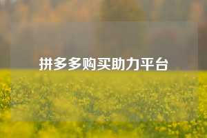 拼多多购买助力平台  拼多多助力 拼多多助力网站 拼多多刷助力网站 拼多多助力网站在线刷 拼多多助力平台 第1张