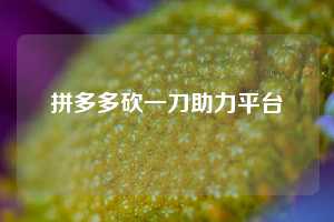 拼多多砍一刀助力平台 拼多多助力 拼多多助力网站 拼多多刷助力网站 拼多多助力网站在线刷 拼多多助力平台 第1张 拼多多砍一刀助力平台 拼多多助力 拼多多助力网站 拼多多刷助力网站 拼多多助力网站在线刷 拼多多助力平台 第1张