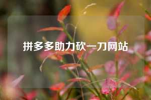 拼多多助力砍一刀网站  拼多多助力 拼多多助力网站 拼多多刷助力网站 拼多多助力网站在线刷 拼多多助力平台 第1张