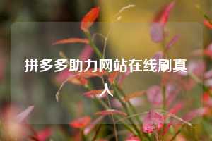 拼多多助力网站在线刷真人  拼多多助力 拼多多助力网站 拼多多刷助力网站 拼多多助力网站在线刷 拼多多助力平台 第1张