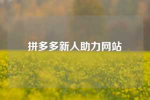 拼多多新人助力网站  拼多多助力 拼多多助力网站 拼多多刷助力网站 拼多多助力网站在线刷 拼多多助力平台 第1张