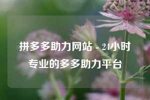 拼多多助力网站 - 24小时专业的多多助力平台  拼多多助力 拼多多刷助力网站 拼多多助力网站在线刷 拼多多助力平台 第1张