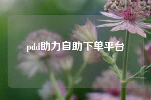 pdd助力自助下单平台  拼多多助力 拼多多助力网站 拼多多刷助力网站 拼多多助力网站在线刷 拼多多助力平台 第1张