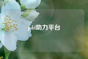 pdd助力平台  PDD助力平台 多多助力网站 拼多多助力 拼多多助力网站 拼多多刷助力网站 拼多多助力网站在线刷 拼多多助力平台 第1张